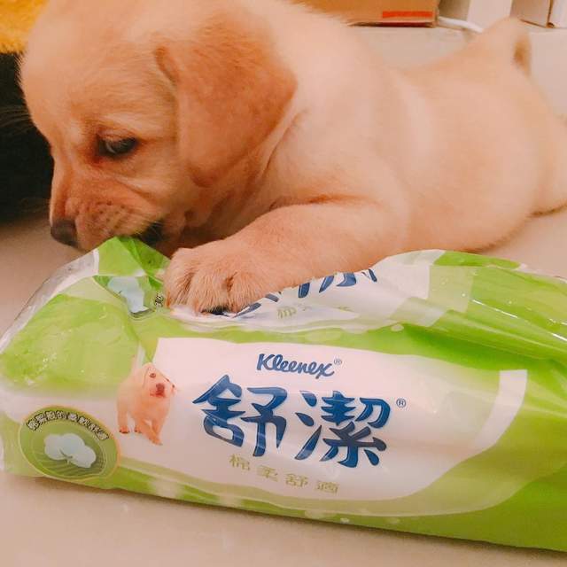圖片8 圖片8