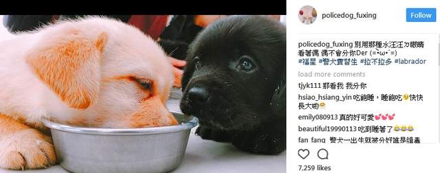 圖片17 圖片17