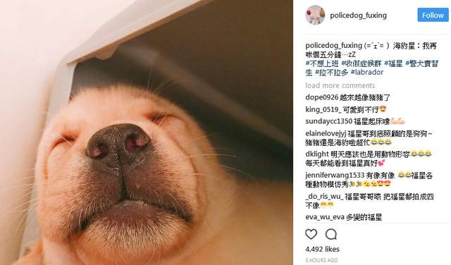 圖片18 圖片18