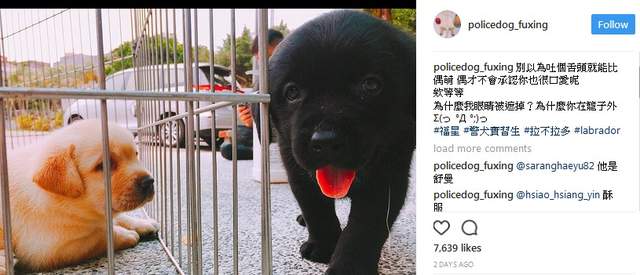 圖片19 圖片19