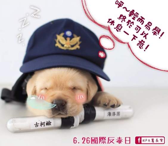 圖片21 圖片21