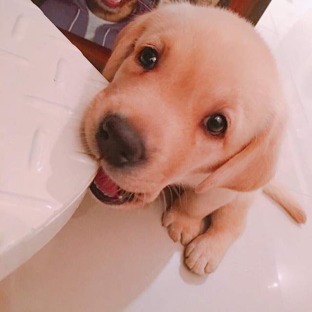 圖片9 圖片9