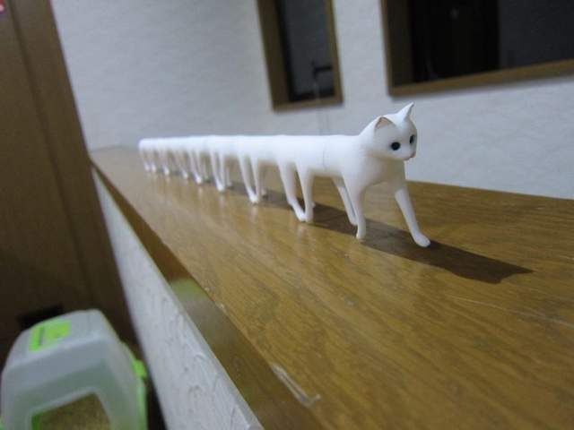 圖片11 圖片11