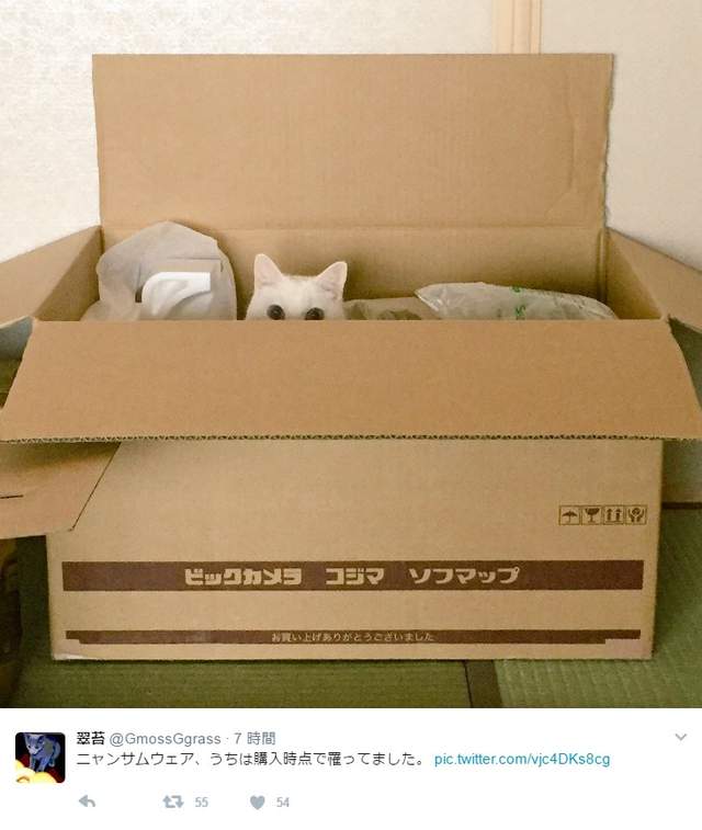 圖片14 圖片14