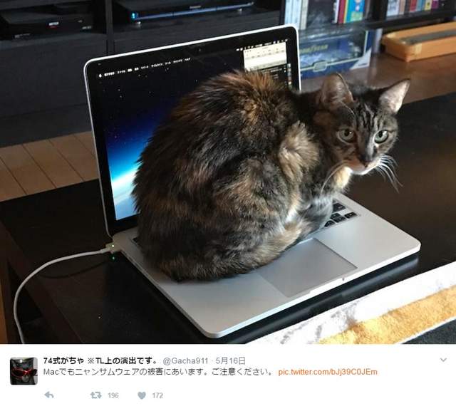 圖片13 圖片13