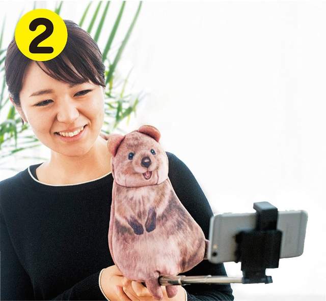 圖片6 圖片6