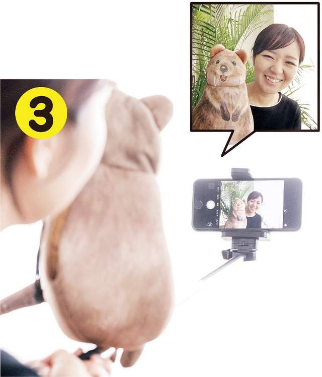 圖片7 圖片7