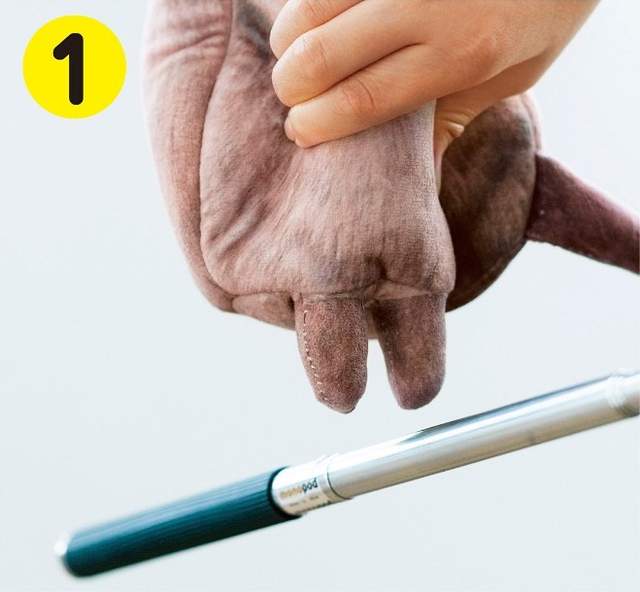 圖片5 圖片5