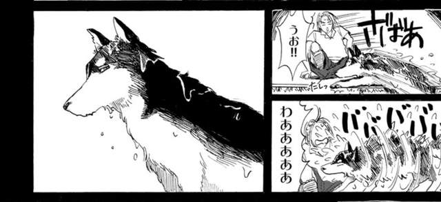 圖片4 圖片4
