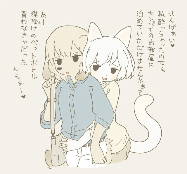 圖片12 圖片12