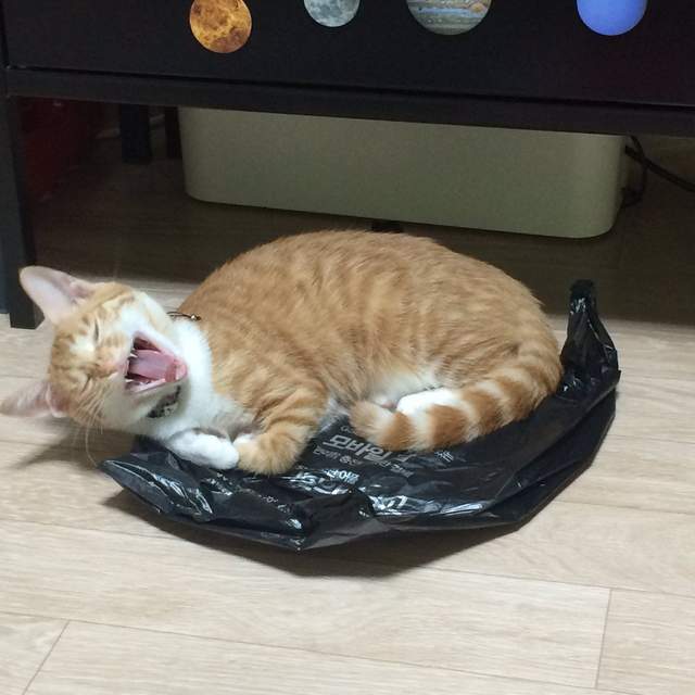 圖片9 圖片9