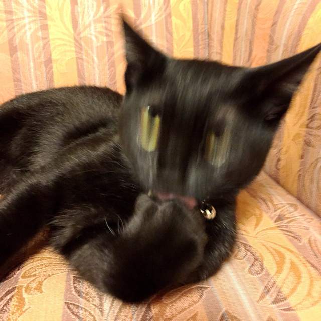 圖片17 圖片17
