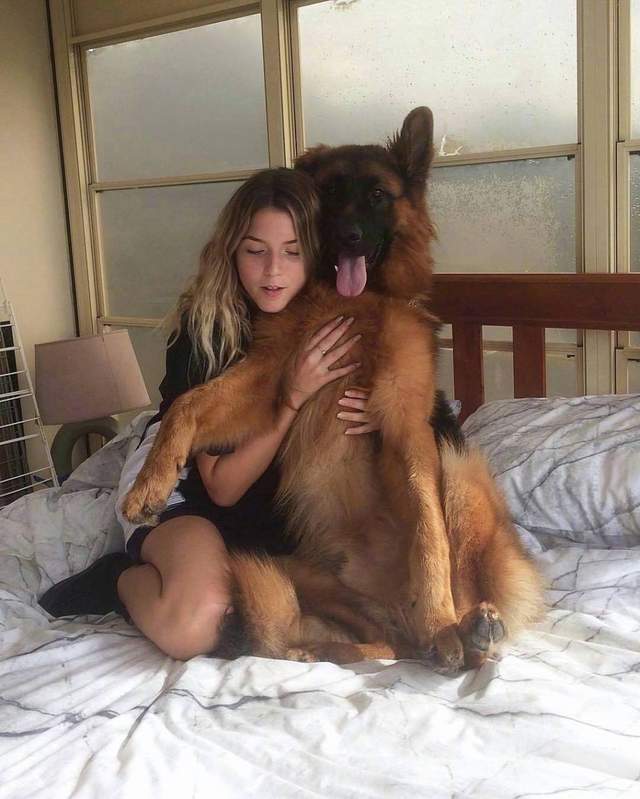 圖片16 圖片16