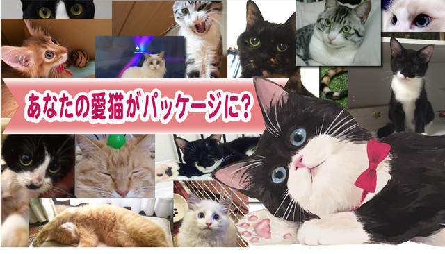 圖片7 圖片7