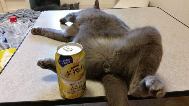 圖片5 圖片5