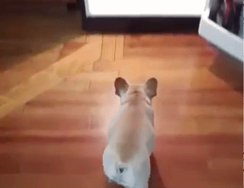 圖片8 圖片8