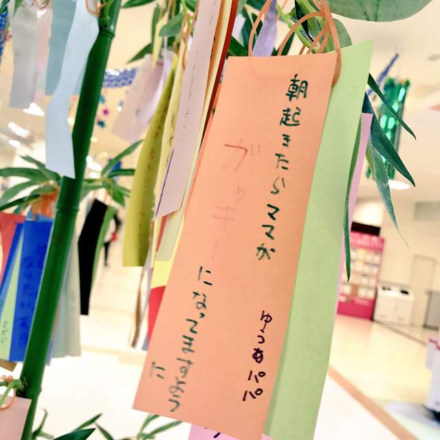 圖片4 圖片4