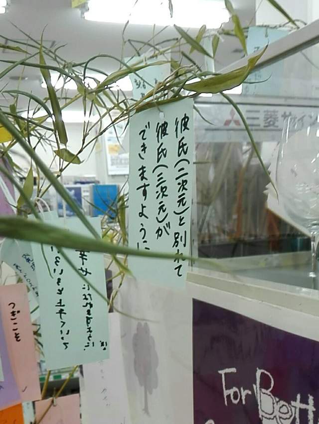 圖片7 圖片7