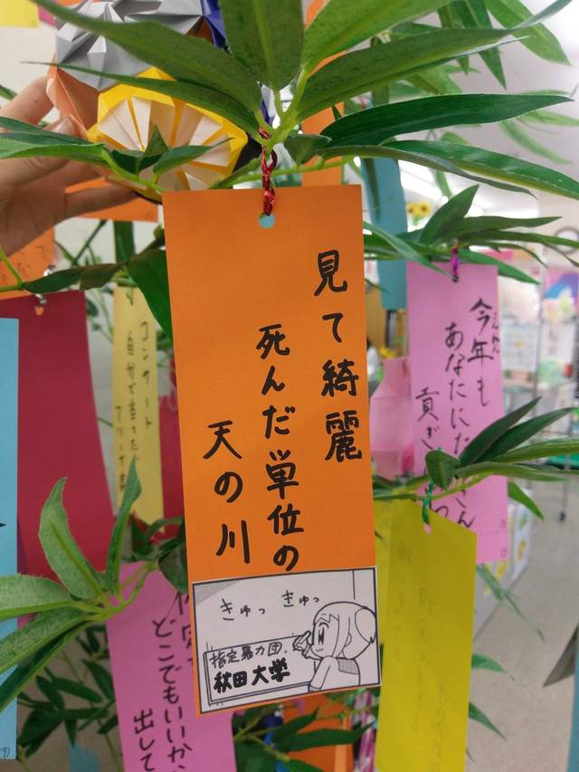 圖片8 圖片8