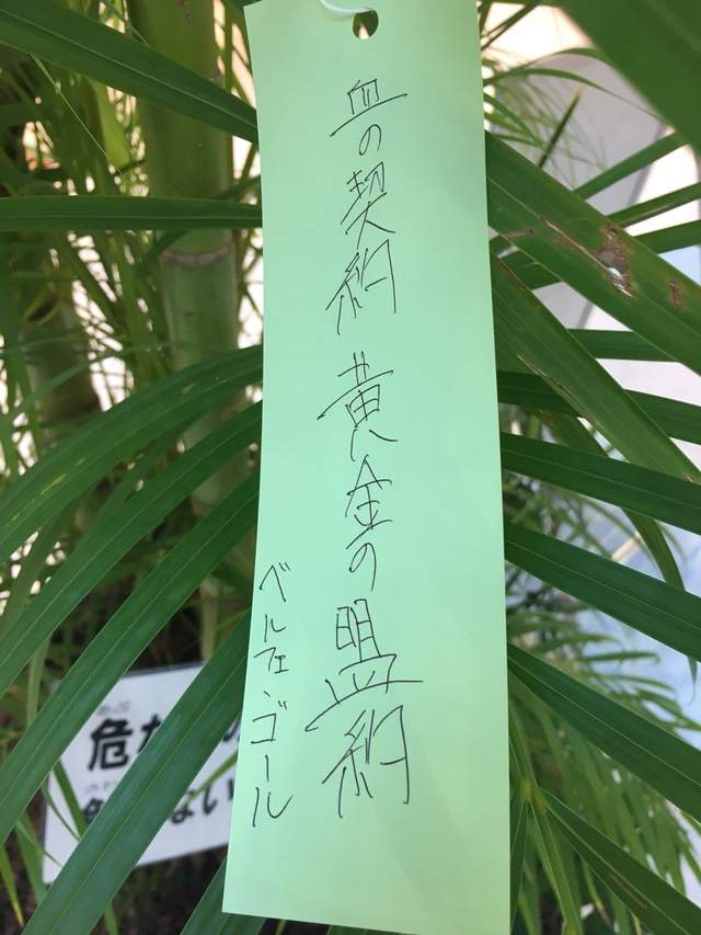 圖片5 圖片5