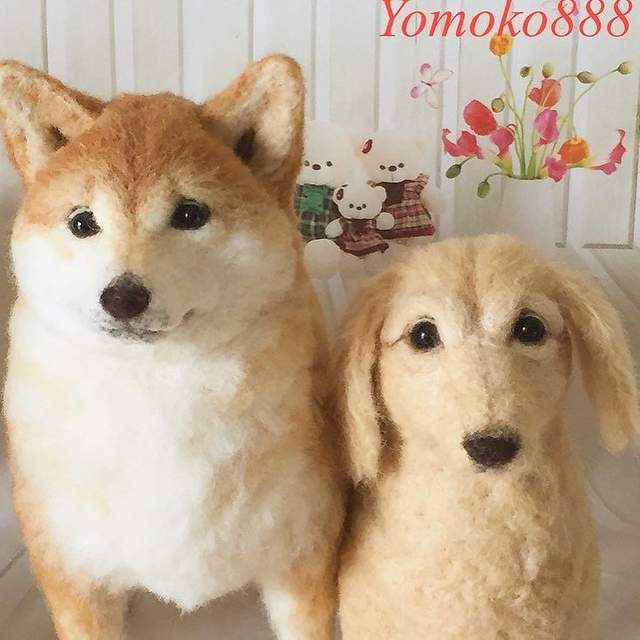 圖片7 圖片7