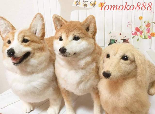 圖片6 圖片6
