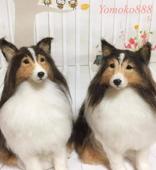 圖片14 圖片14