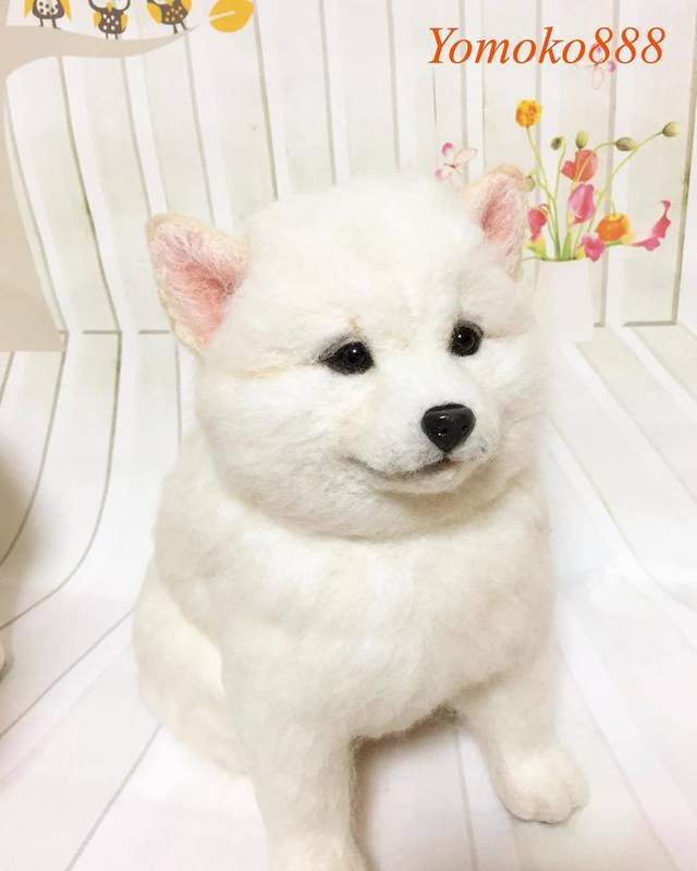 圖片12 圖片12