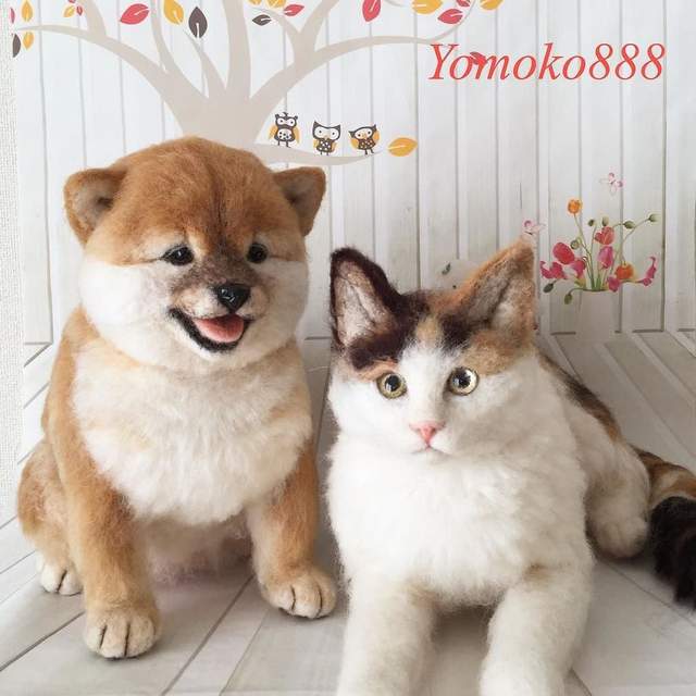 圖片15 圖片15