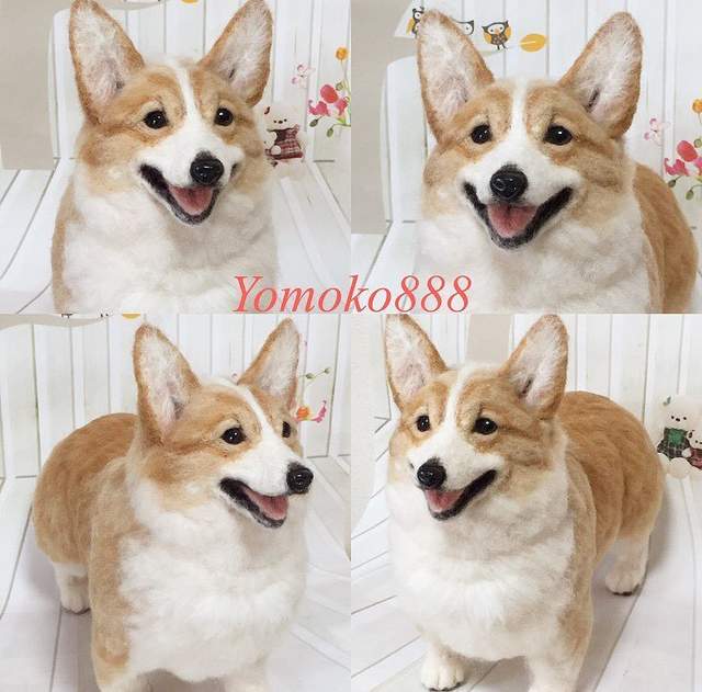 圖片10 圖片10