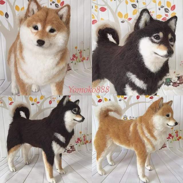 圖片8 圖片8