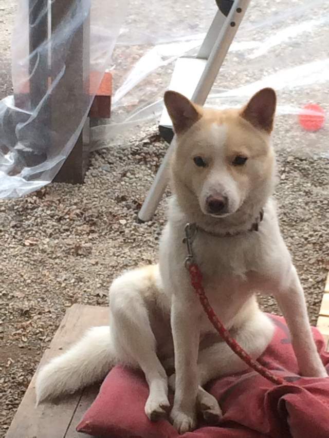 圖片4 圖片4