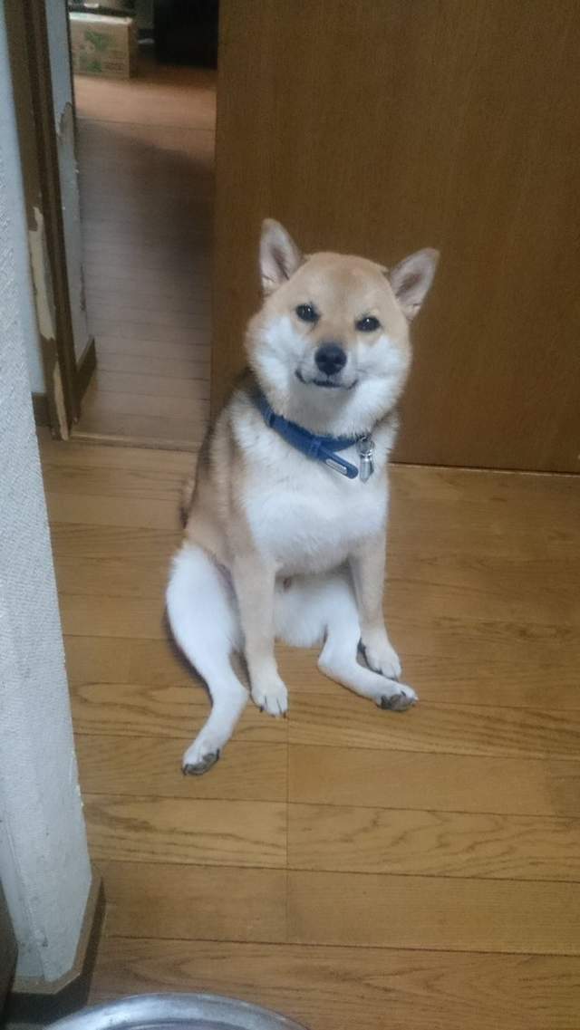 圖片6 圖片6
