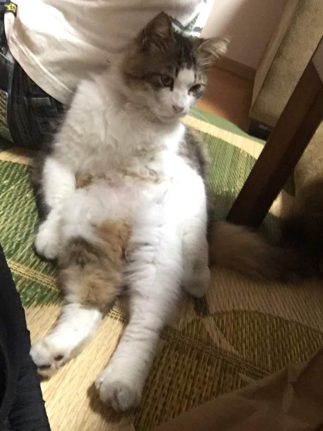 圖片9 圖片9