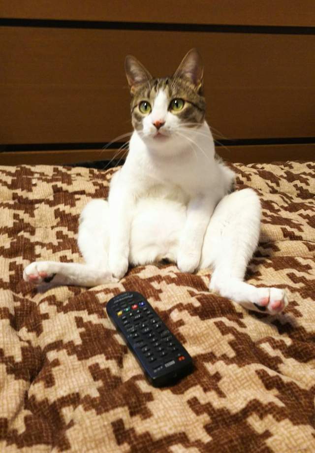 圖片11 圖片11