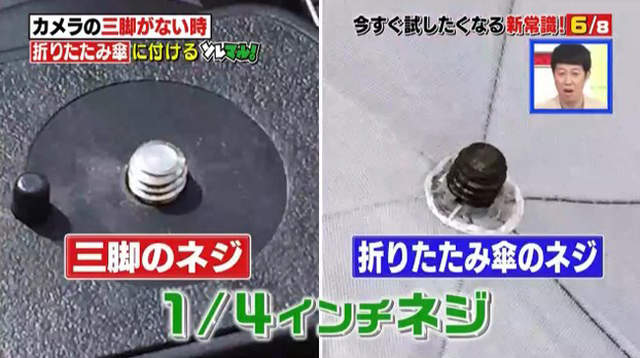 圖片10 圖片10