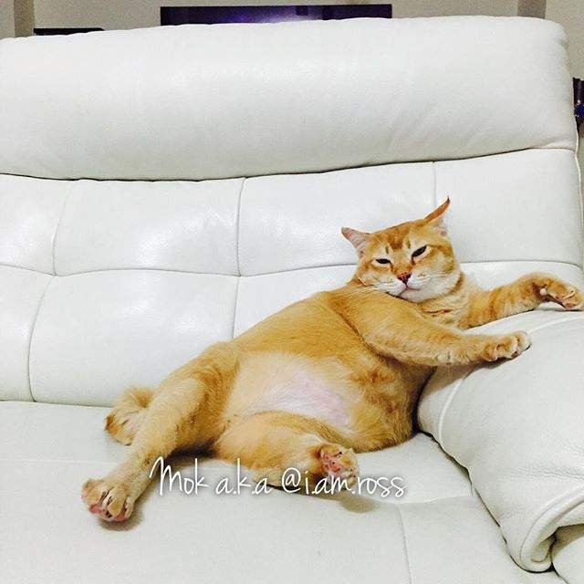 圖片15 圖片15