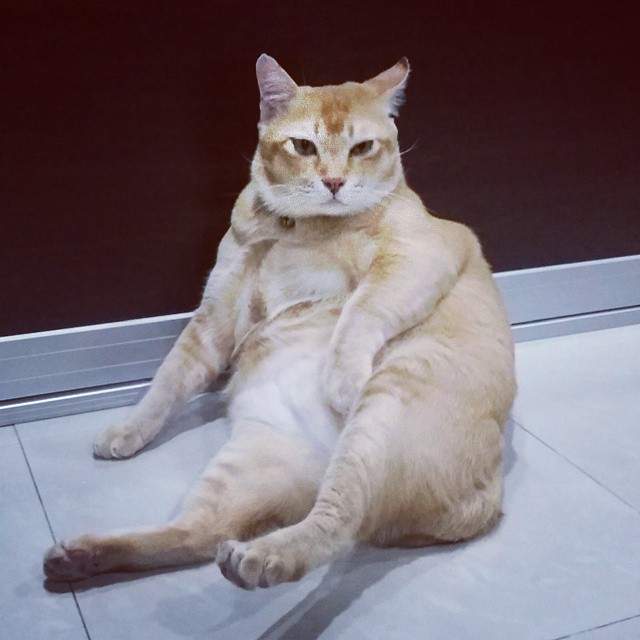 圖片5 圖片5