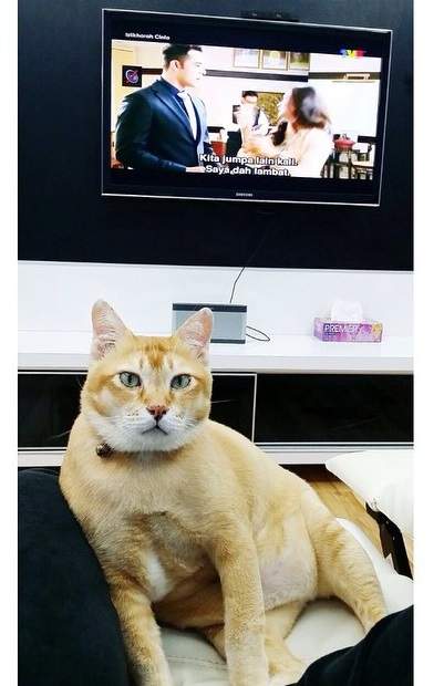 圖片11 圖片11