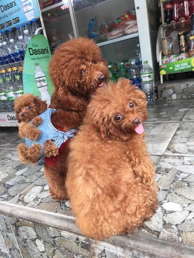 圖片9 圖片9