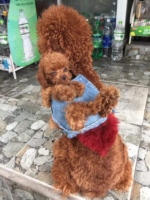 圖片7 圖片7