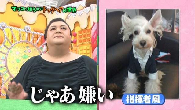 圖片11 圖片11