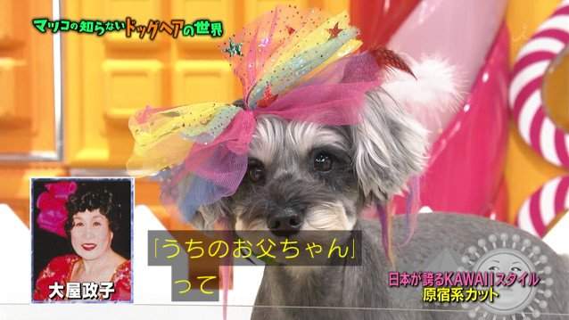 圖片12 圖片12