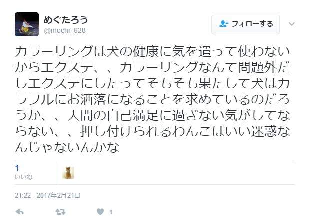 圖片19 圖片19