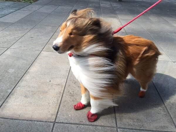 圖片8 圖片8