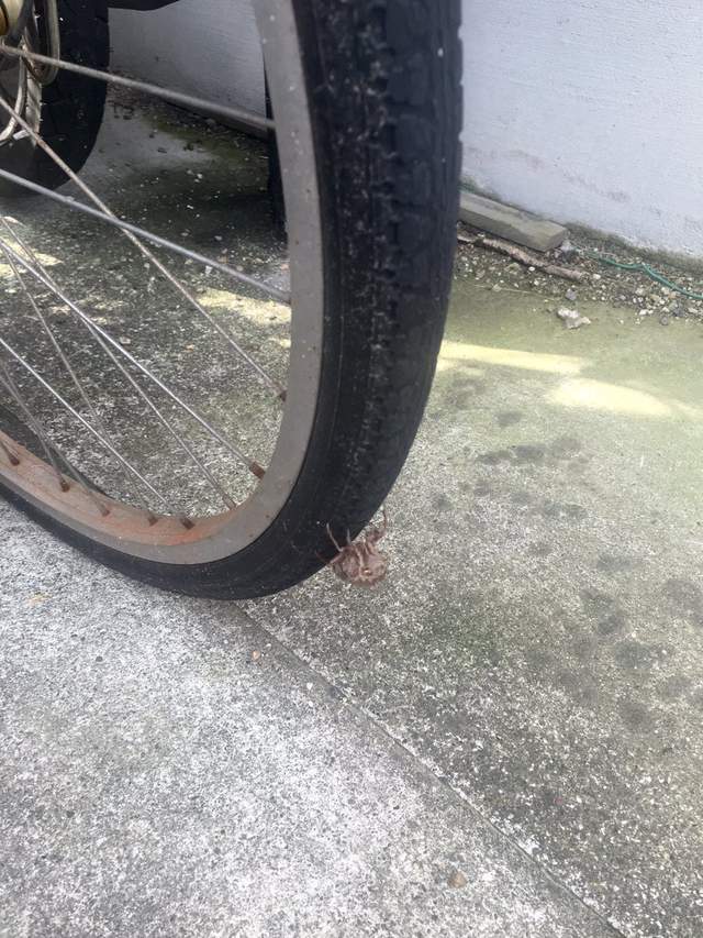 圖片6 圖片6