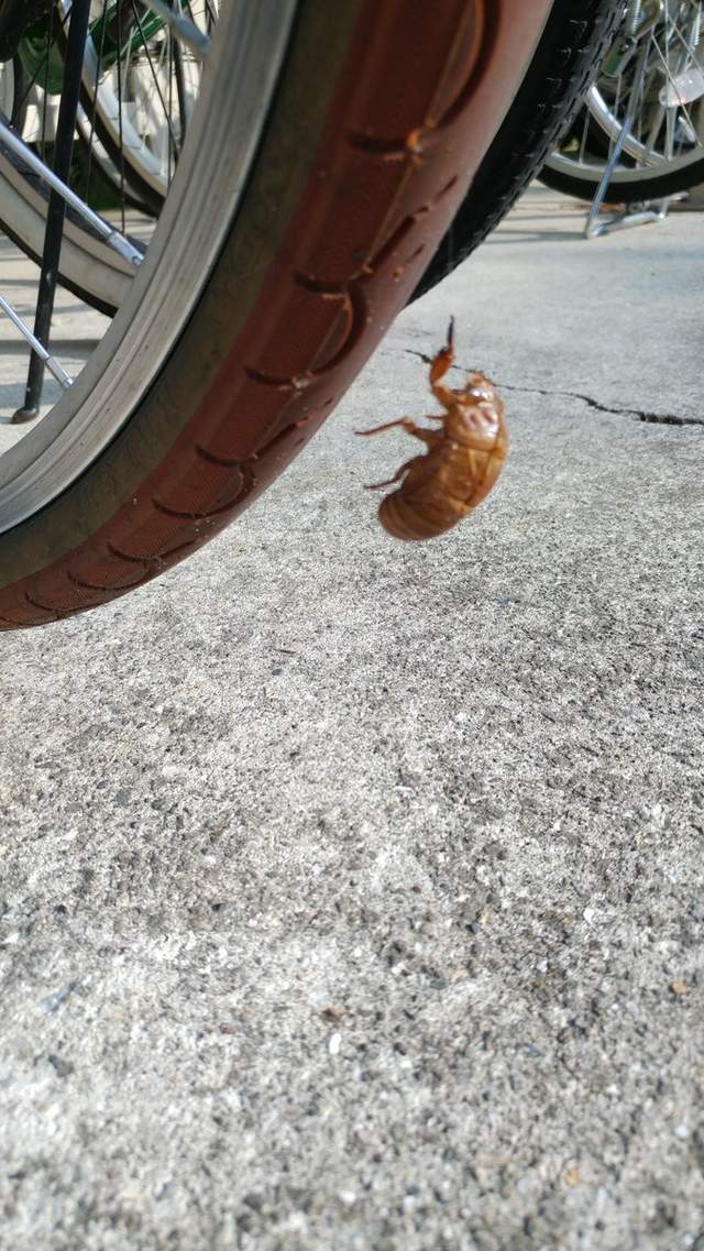 圖片5 圖片5