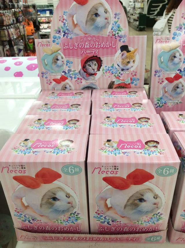 圖片5 圖片5