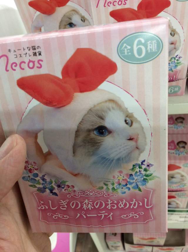 圖片6 圖片6