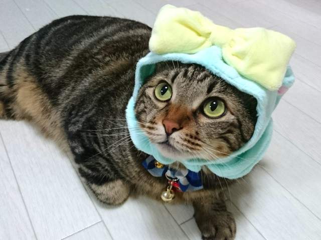 圖片7 圖片7